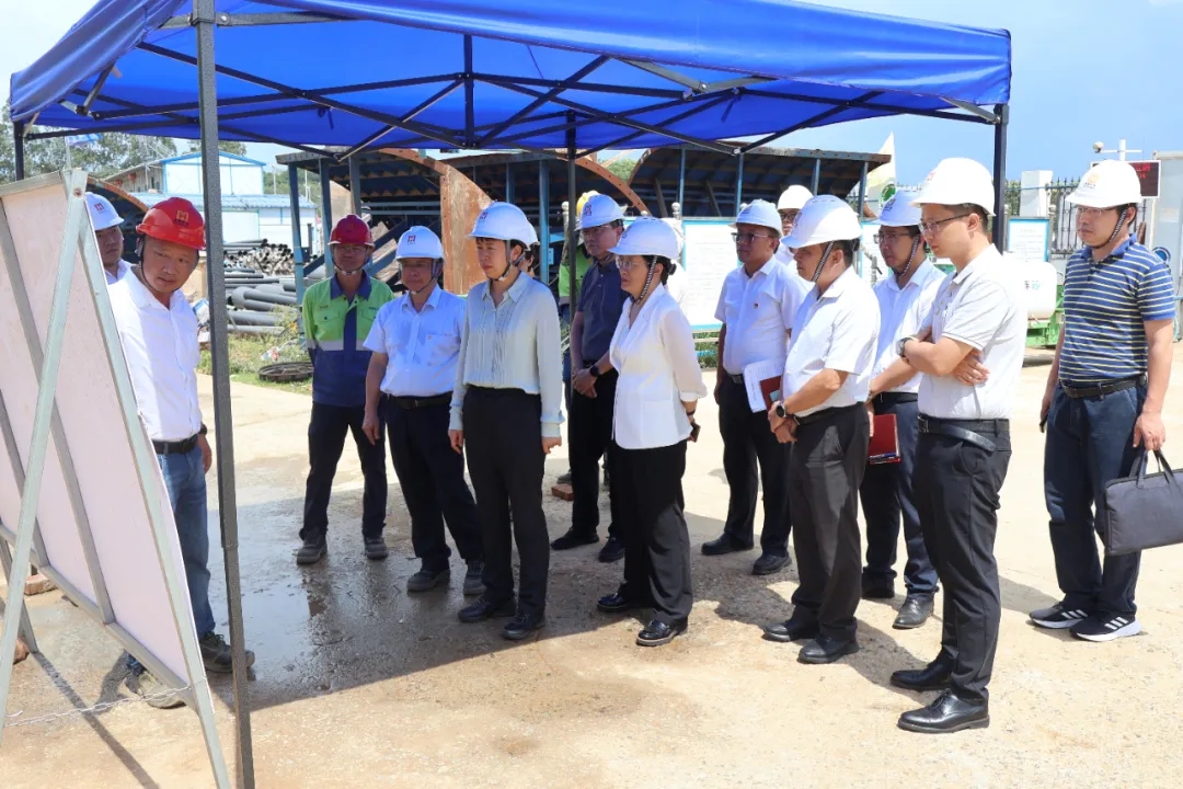 1720169051783579.jpg 海南省副省长尹丽波赴星之海2万吨氢氧化锂项目现场调研2.jpg